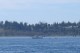 Thumbs/tn_SanJuan 004.jpg